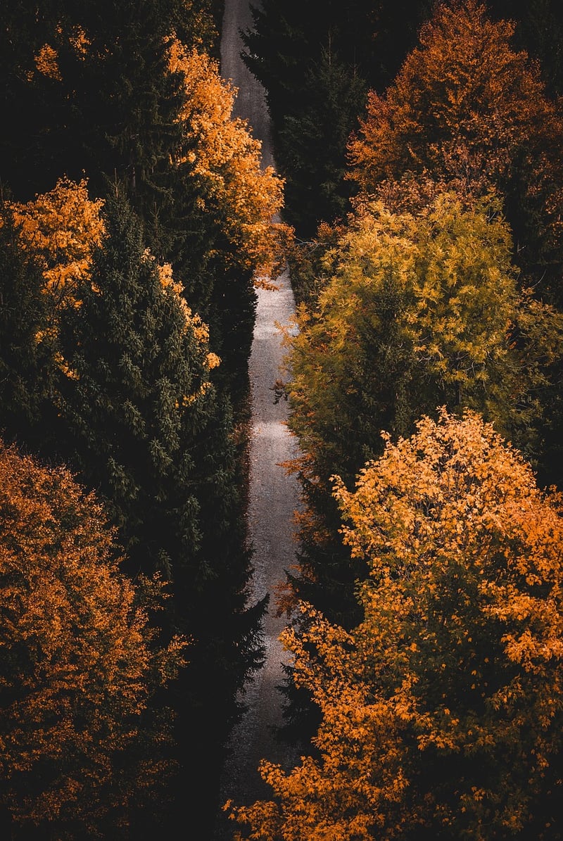 Mountain Hike